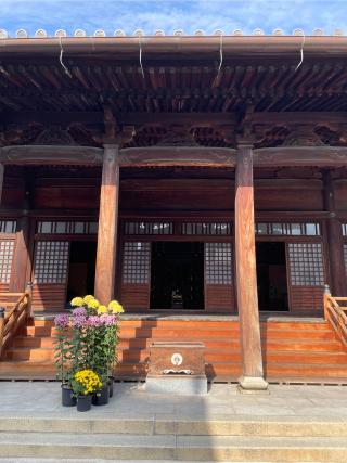 教専寺の参拝記録(風来のユタカさん)