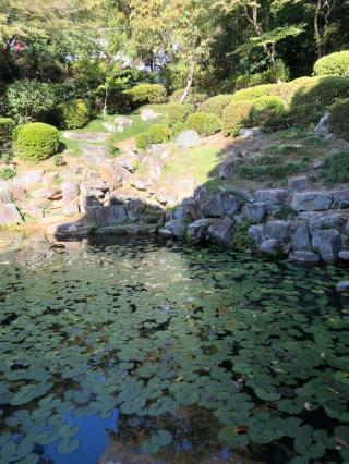 海蔵寺の参拝記録(あくんさん)