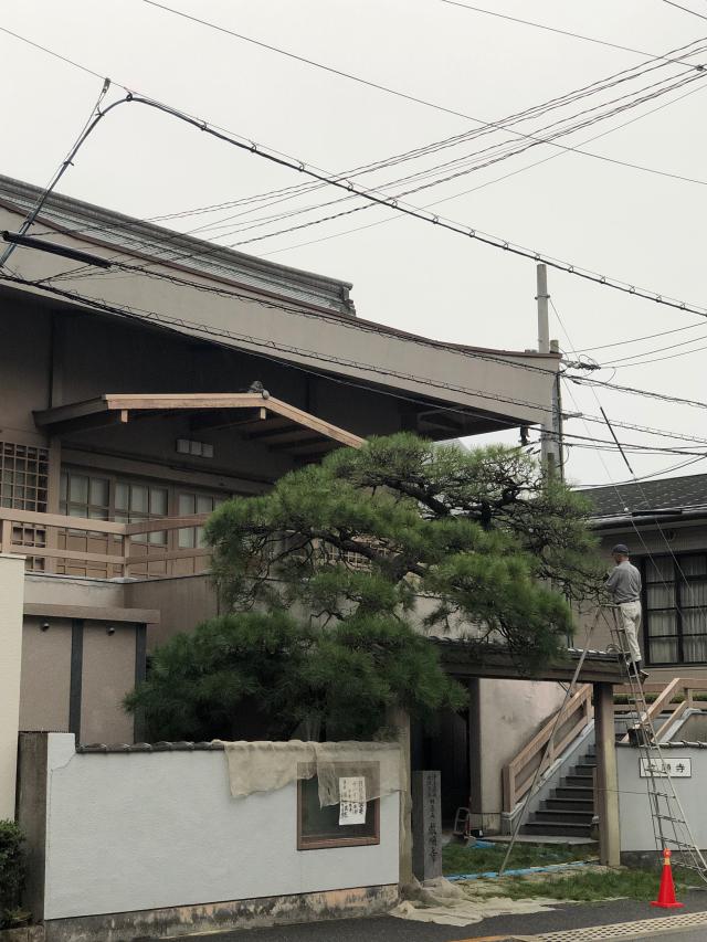 教順寺の参拝記録2