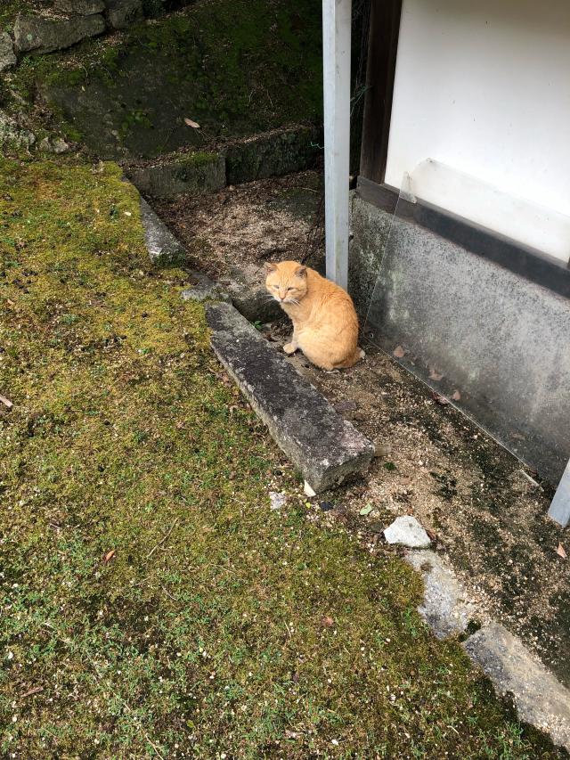 徳寿寺の参拝記録9