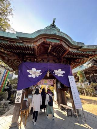 多喜山 大聖院の参拝記録(ひくさん)