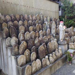 海龍寺の参拝記録(くるみかなさん)