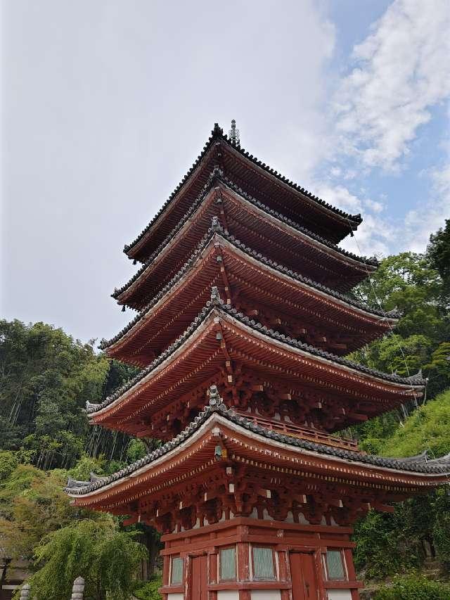 中道山 円光寺 明王院の参拝記録7