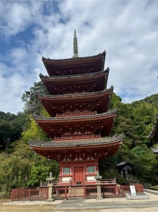 中道山 円光寺 明王院の参拝記録(ずかやん さん)