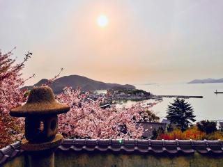 医王寺の参拝記録(ふうりんパパさん)