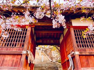 医王寺の参拝記録(ふうりんパパさん)