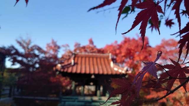 山口県宇部市船木1521 来迎寺の写真1