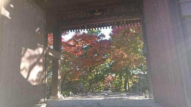 蓮光寺の参拝記録3