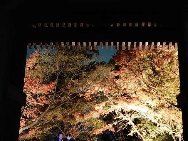 蓮光寺の参拝記録1