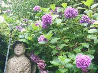明王山廣福寺（こうふくじ）の参拝記録(matsuyoshiさん)