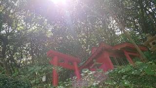善城寺の参拝記録(matsuyoshiさん)