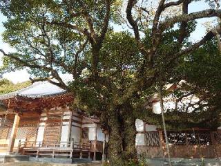善城寺の参拝記録(matsuyoshiさん)