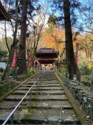 龍福寺の参拝記録(せっちゃんさん)