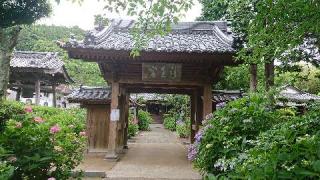 向徳寺の参拝記録(matsuyoshiさん)