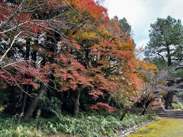 黄檗宗 護国山 東光寺の参拝記録2