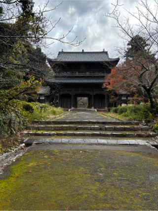 黄檗宗 護国山 東光寺の参拝記録(まりもさん)