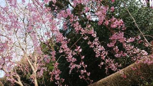 山口県美祢市伊佐町伊佐5310 南原寺の写真1