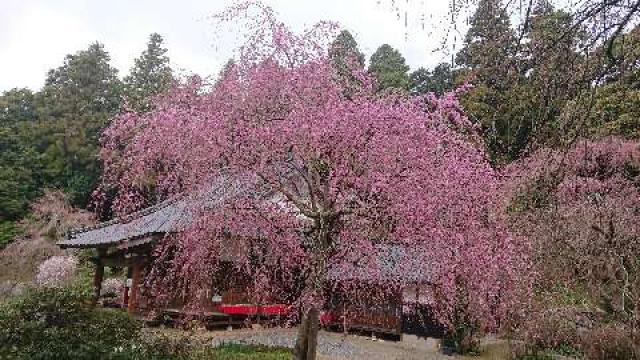 南原寺の参拝記録9