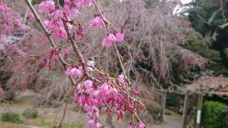 南原寺の参拝記録(matsuyoshiさん)