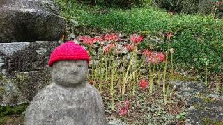 南原寺の参拝記録(matsuyoshiさん)