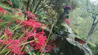 南原寺の参拝記録(matsuyoshiさん)