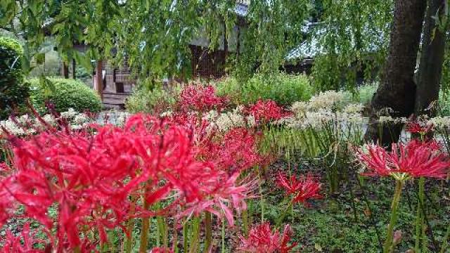 山口県美祢市伊佐町伊佐5310 南原寺の写真4