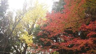 南原寺の参拝記録(matsuyoshiさん)