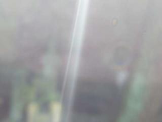 南原寺の参拝記録(matsuyoshiさん)