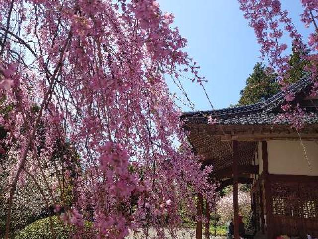 山口県美祢市伊佐町伊佐5310 南原寺の写真6