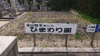 大楽寺の参拝記録(matsuyoshiさん)