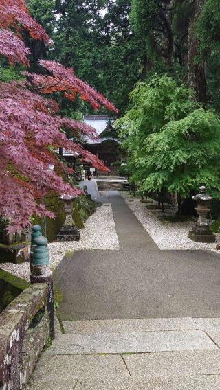 太龍寺(四国第二十一番)の参拝記録(お寺でポンタさん)