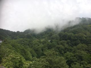 円福寺の参拝記録(tsukabbさん)