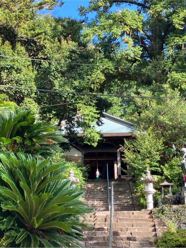 恩山寺(四国第十八番)の参拝記録6