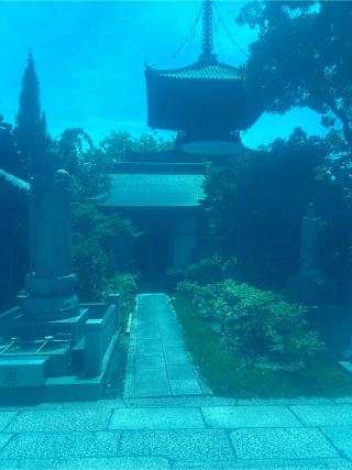 橋池山 摩尼院 立江寺(四国第十九番)の参拝記録(桃太郎さん)