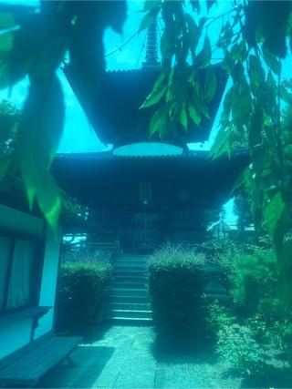 橋池山 摩尼院 立江寺(四国第十九番)の参拝記録(桃太郎さん)