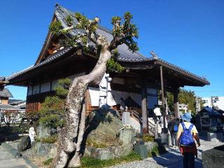 観音寺(四国第十六番)の参拝記録(オカモトさん)