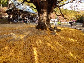 大山寺の参拝記録(オカモトさん)
