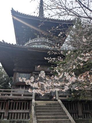 霊山寺(四国第一番)の参拝記録(大ちゃんさん)