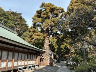極楽寺(四国第ニ番)の参拝記録(たいがさん)