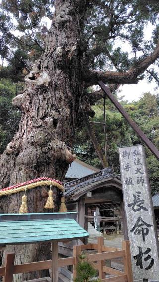 極楽寺(四国第ニ番)の参拝記録(にいにいさん)