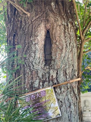 潮明寺の参拝記録(なっちゃんさん)