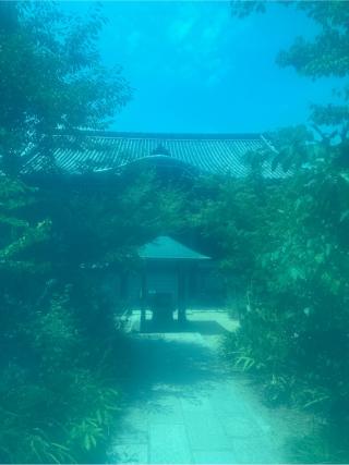 志度寺(四国第八十六番)の参拝記録(桃太郎さん)
