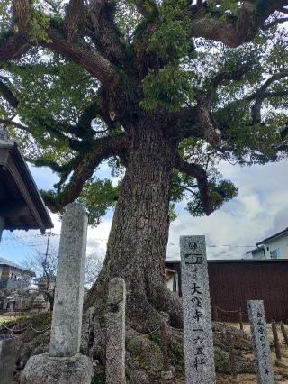 長尾寺(四国第八十七番)の参拝記録(mi♡mikaさん)