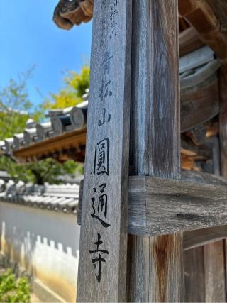 圓通寺の参拝記録(まねきねこさん)