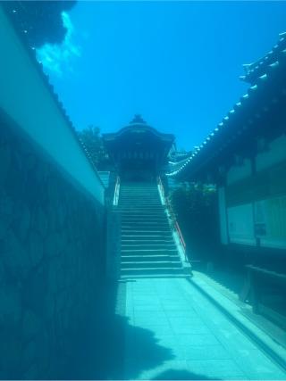 郷照寺(四国第七十八番)の参拝記録(桃太郎さん)