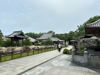 南面山 千光院 屋島寺(四国第八十四番)の参拝記録(かずっこさん)