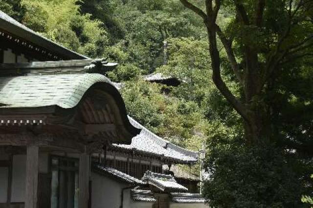 香川県三豊市三野町大見乙70 弥谷寺(四国第七十一番)の写真5