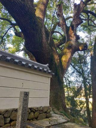 大興寺(四国第六十七番)の参拝記録(mi♡mikaさん)