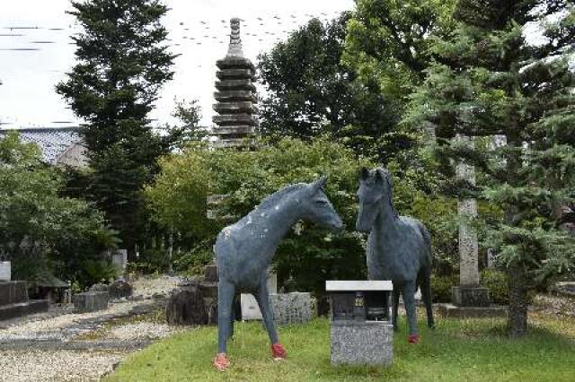 香川県三豊市豊中町本山甲1445 本山寺(四国第七十番)の写真2