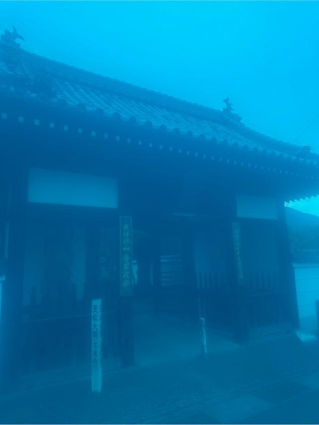 曼荼羅寺(四国第七十ニ番)の参拝記録2
